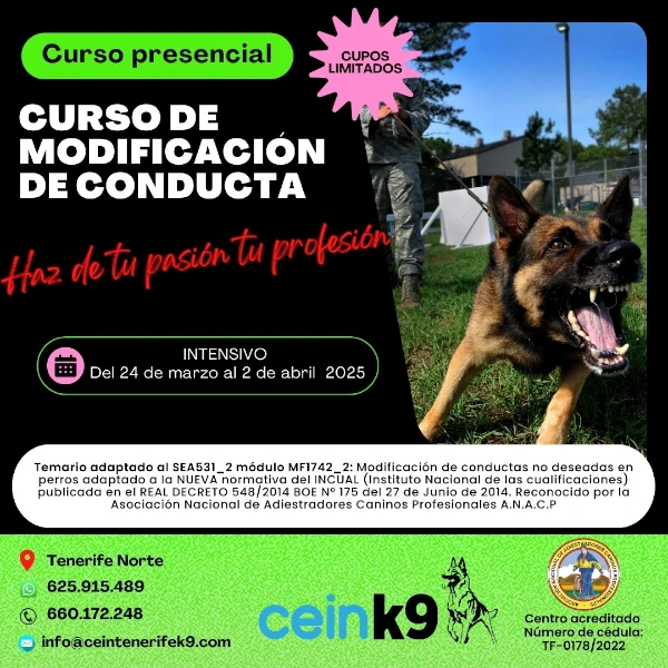 Curso de modificación de conducta